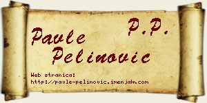 Pavle Pelinović vizit kartica